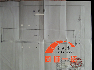 1545376132837570.png 宗地图_副本.png